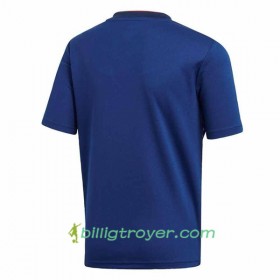 Billige Fotballdrakter Japan VM 2018 Hjemmedraktsett